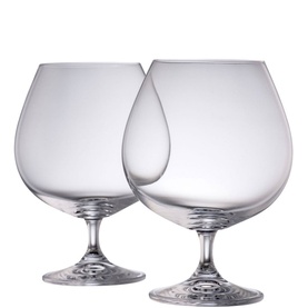 Elegance Brandy Balloon Set of Two Glasses