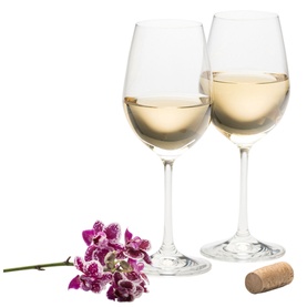 Elegance White Wine Set of Two Glasses