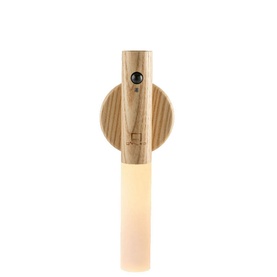 Smart Baton Light