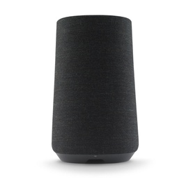 Citation 100 Speaker