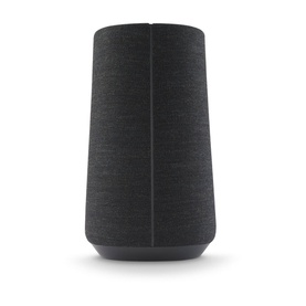 Citation 100 Speaker