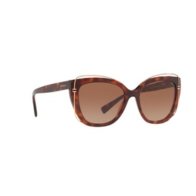 Cat Eye Sunglasses 0TF4148