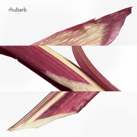 Eau de Rhubarbe &Eacute;carlate Eau de Cologne 100ml