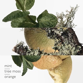 Eau d'Orange Verte Eau de Cologne 100ml