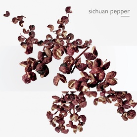 Terre d'Herm&egrave;s Eau Intense V&eacute;tiver Eau de Parfum 100ml