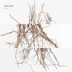 Terre d'Herm&egrave;s Eau Intense V&eacute;tiver Eau de Parfum 100ml