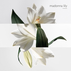 Un Jardin Sur La Lagune Body Lotion