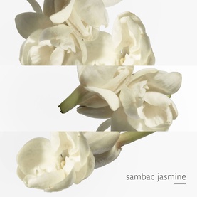 Le Jardin de Monsieur Li Eau de Toilette 100ml