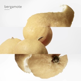 Le Jardin de Monsieur Li Eau de Toilette 100ml