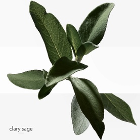 H24 Eau de Toilette 50ml