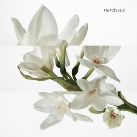 H24 Eau de Toilette 50ml