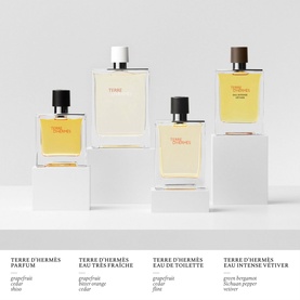 Terre d'Herm&egrave;s Eau de Toilette