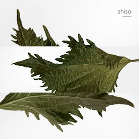 Terre d'Herm&egrave;s Parfum 75ml