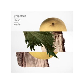 Terre d'Herm&egrave;s Parfum 200 ml