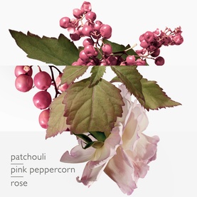 Twilly d'Herm&egrave;s Eau Poivr&eacute;e Eau de Parfum 50ml