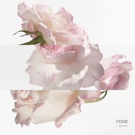 Twilly d'Herm&egrave;s Eau Poivr&eacute;e Eau de Parfum 50ml