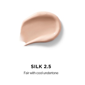 Vanish Airbrush Concealer
