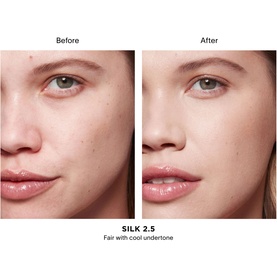 Vanish Airbrush Concealer
