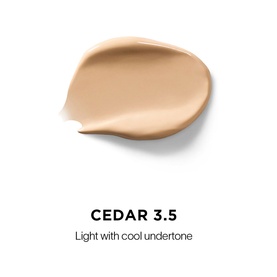 Vanish Airbrush Concealer