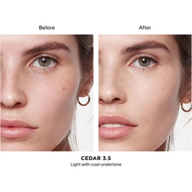 Vanish Airbrush Concealer