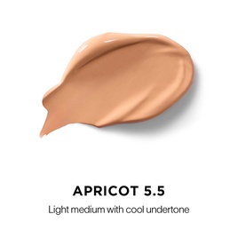 Vanish Airbrush Concealer