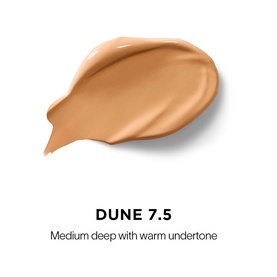 Vanish Airbrush Concealer