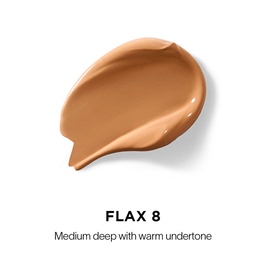 Vanish Airbrush Concealer