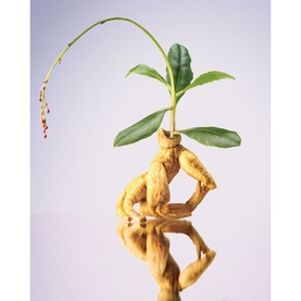 Invati Advanced&trade; Scalp Revitalizer 150ml