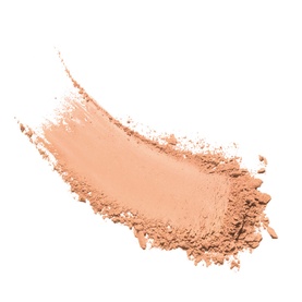 Celebration Foundation