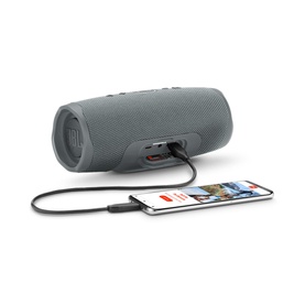 Charge 4 Portable Bluetooth Speaker