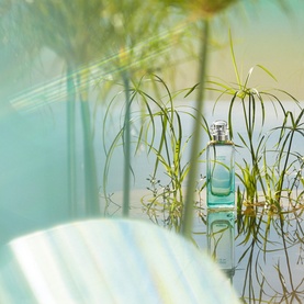 Un Jardin Sur Le Nil Eau de Toilette