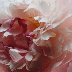 Peony & Blush Suede Body Cr&egrave;me