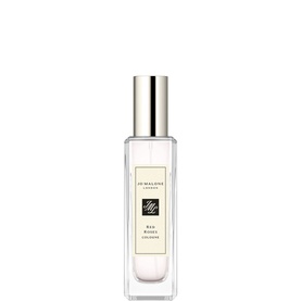 Red Roses Cologne
