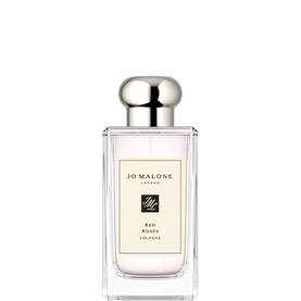 Red Roses Cologne