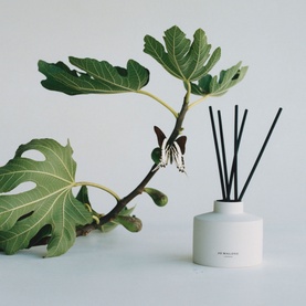 Fresh Fig and Cassis Diffuser + Refill