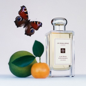 Lime Basil & Mandarin Cologne