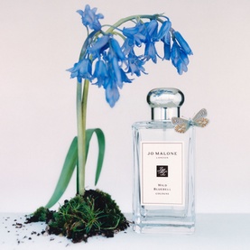 Wild Bluebell Cologne 30ml