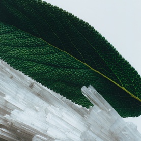 Wood Sage & Sea Salt Classic Candle