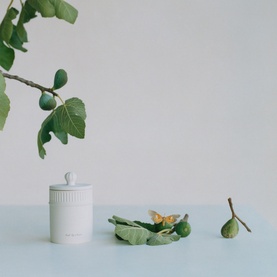 Fresh Fig & Cassis Ceramic Candle 300g