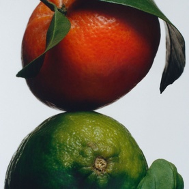 Lime Basil & Mandarin Luxury Candle