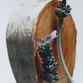 Silver Birch & Lavender Cologne