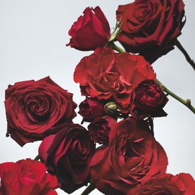 Red Roses Classic Candle