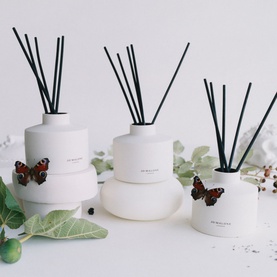 Green Tomato Vine Diffuser