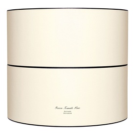 Green Tomato Vine Diffuser