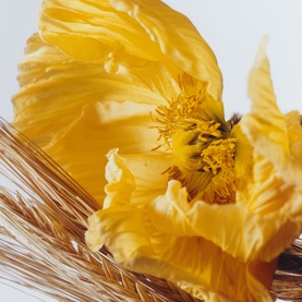 Poppy & Barley Body & Hand Wash 250ml