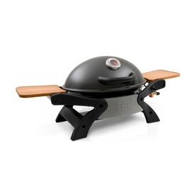Freestanding Gas BBQ Grill