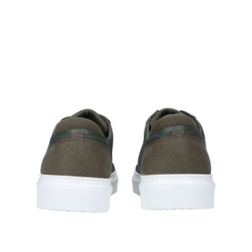 Liddesdale Trainers