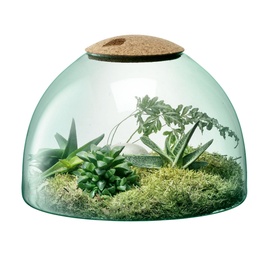 Large  Closed Garden Canopy Vase