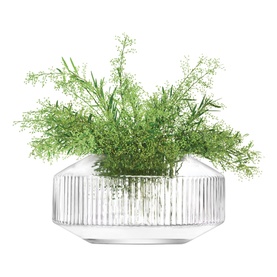 LSA Glassware Rotunda Wide 14cm Vase in clear glass with ribbed detailing, styled with green foliage arrangement