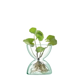 Glass Canopy Vase 24cm